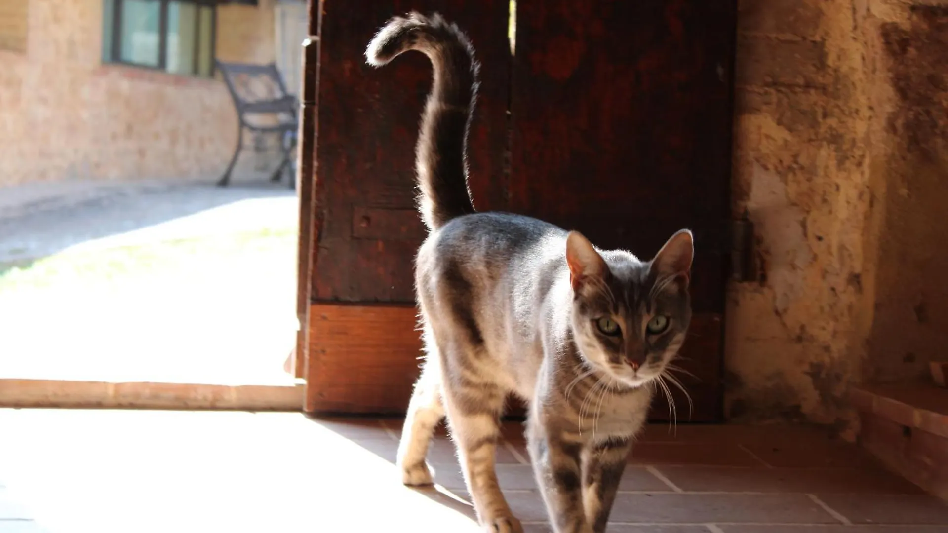 Agriturismo Il Caggio Sovicille Farm stay