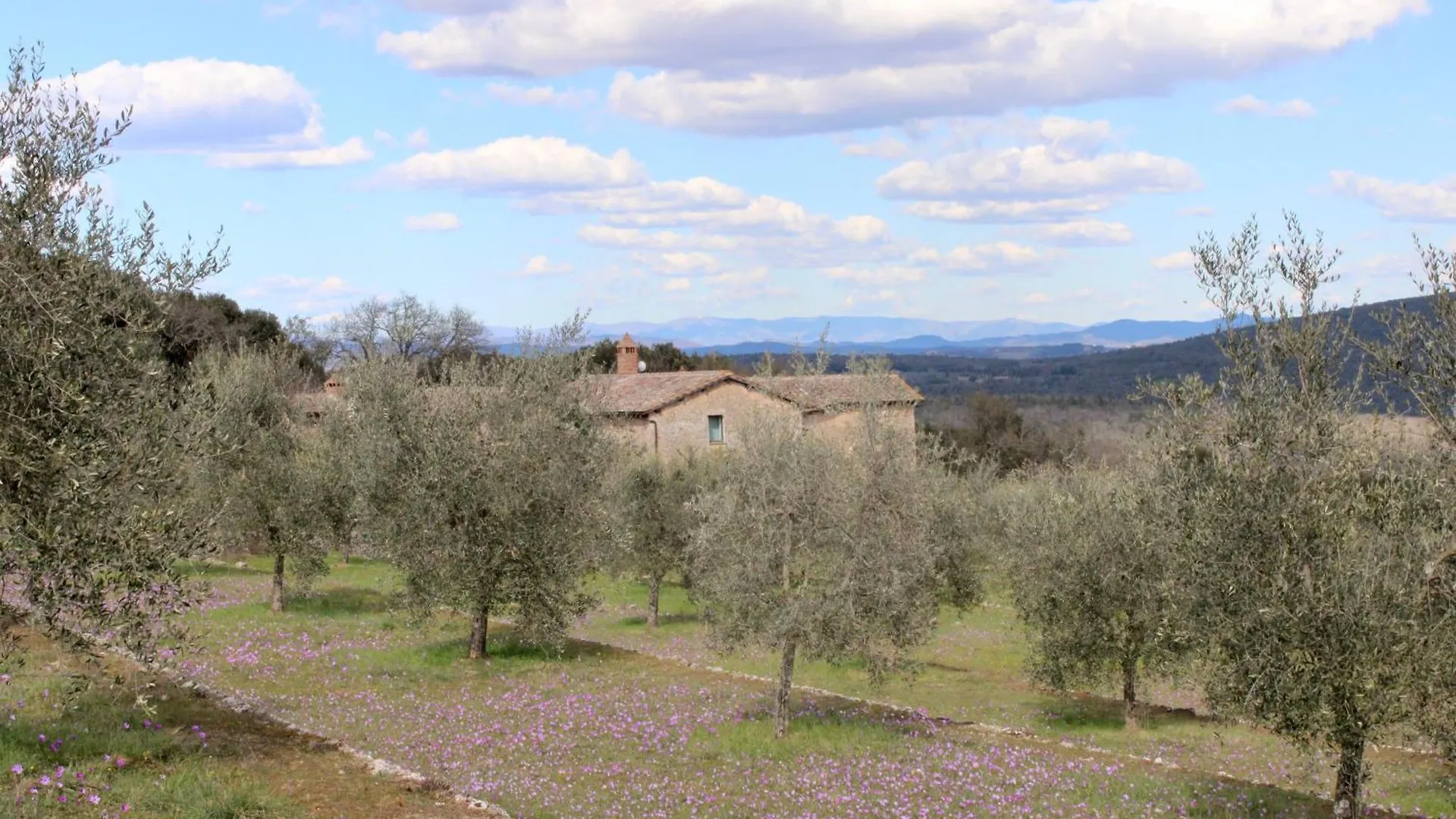 Agriturismo Il Caggio Sovicille 0*,