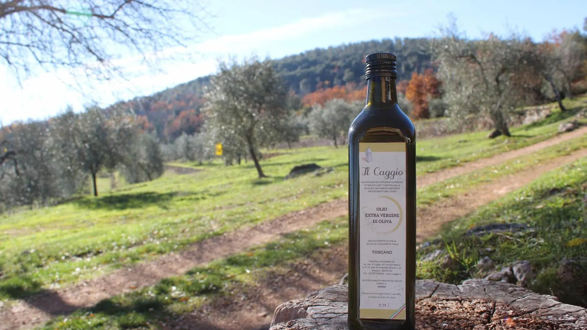 Bauernhof Agriturismo Il Caggio Sovicille