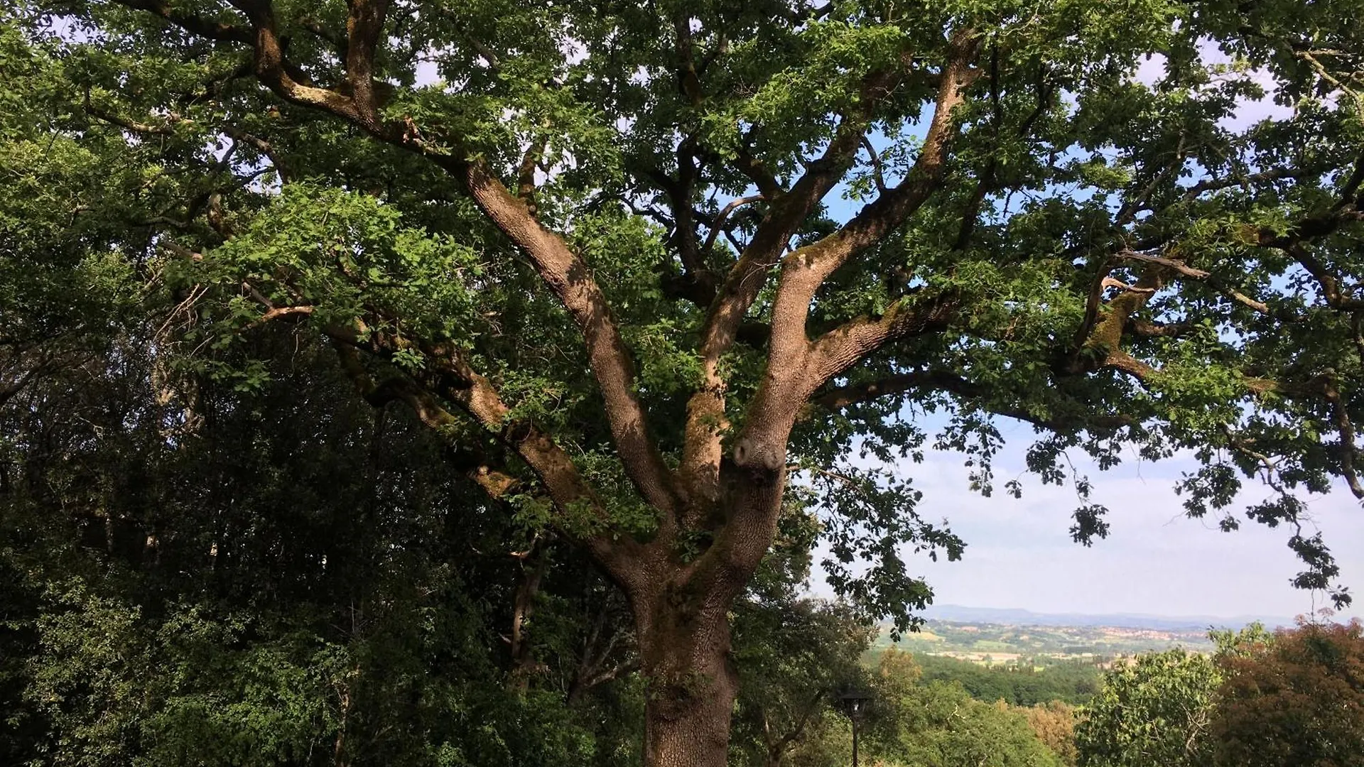 Agriturismo Il Caggio Sovicille Bauernhof