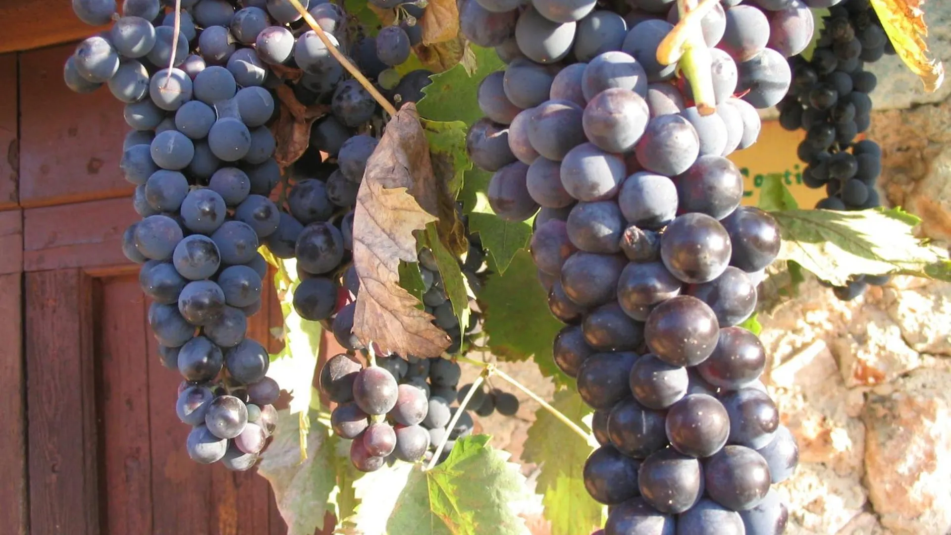 Agriturismo Il Caggio Sovicille 0*,